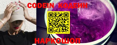 гашик Кингисепп