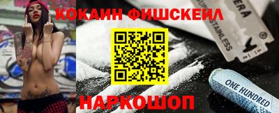 гашик Кингисепп