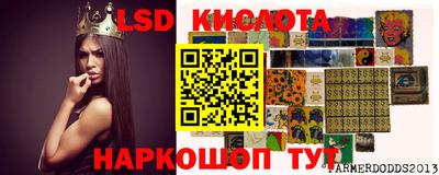 гашик Кингисепп