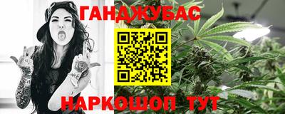 гашик Кингисепп