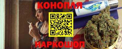 гашик Кингисепп
