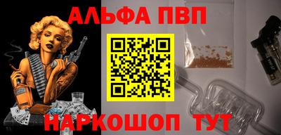 гашик Кингисепп