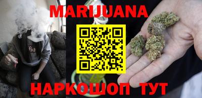 гашик Кингисепп