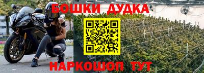 гашик Кингисепп