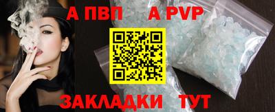 гашик Кингисепп