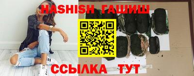 гашик Кингисепп