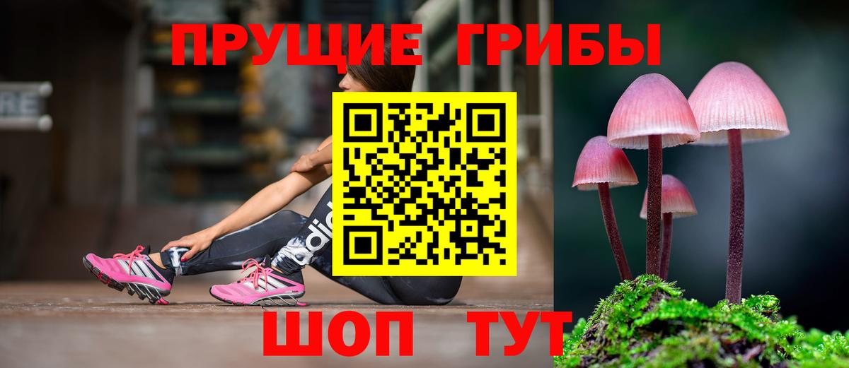 Псилоцибиновые грибы Magic Shrooms  Вход с VPN  Великий Устюг  Псилоцибиновые грибы Magic Shrooms 